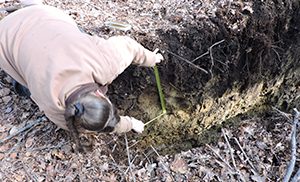 Soil Investigation